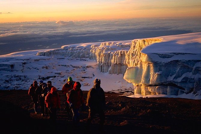 6-Day Kilimanjaro Machame Route – A Stunning Trek to Uhuru Peak - Day 2: Moorland and the Shira Plateau