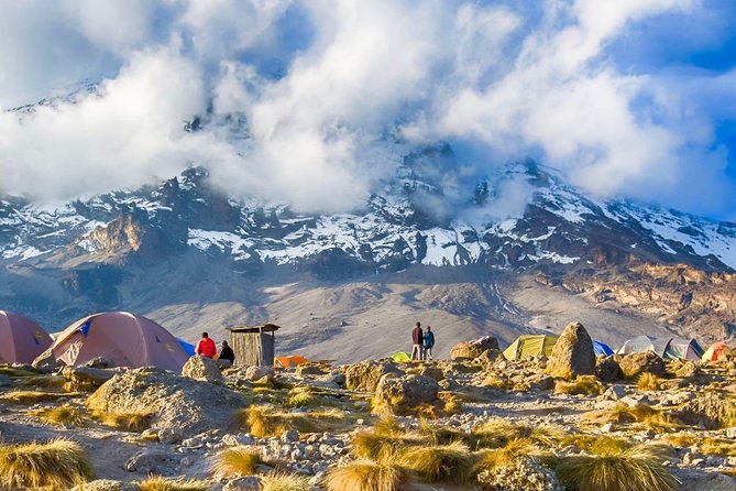 6-Day Kilimanjaro Umbwe Route–Steep,Adventurous, Challenging Path - Key points before you commit