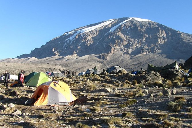6-Day Kilimanjaro Umbwe Route–Steep,Adventurous, Challenging Path - Day 2: Heathland, giant plants, and Barranco Valley