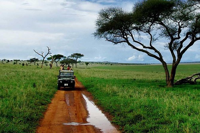 6 Day: Magnificent Wildlife Adventure - Day 3: Your flexible full day on the plains
