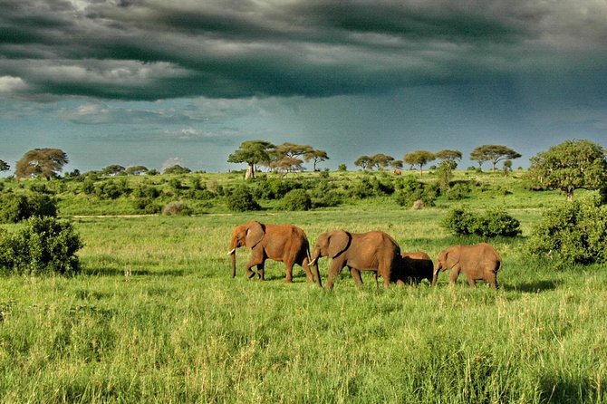 6 Day: Magnificent Wildlife Adventure - Day 6: Lake Manyara, with an itinerary detail to confirm