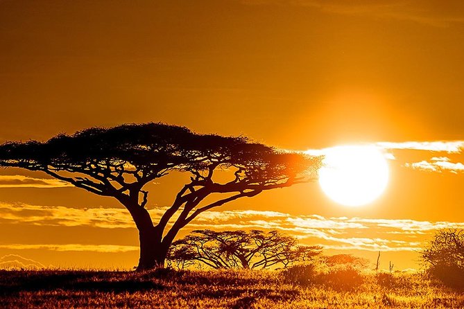 6 Day: Magnificent Wildlife Adventure - What the $5,000 price includes