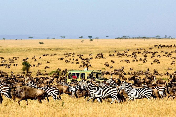 6 Day: Magnificent Wildlife Adventure - Day 2: The long road into the Serengeti