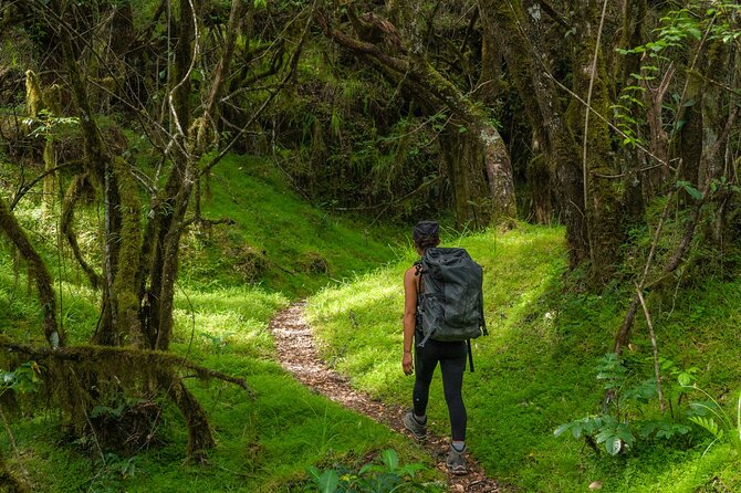 6-Day Mount Meru Climb through Momella Route Guided Tour - Why Mount Meru deserves your attention