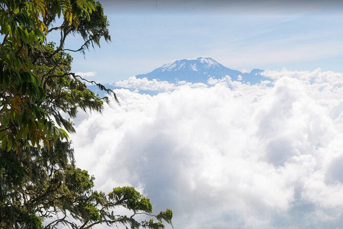 6-Day Mount Meru Climb through Momella Route Guided Tour - Day 3: The saddle and Little Meru