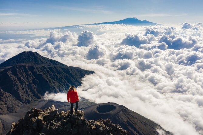 6-Day Mount Meru Climb through Momella Route Guided Tour - Day 5: A wildlife-filled descent