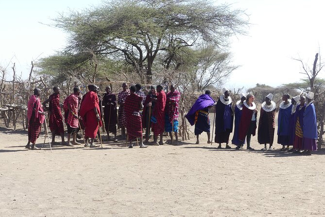 6-Day Northern Safari - Day 2: Tarangire’s elephants and baobabs