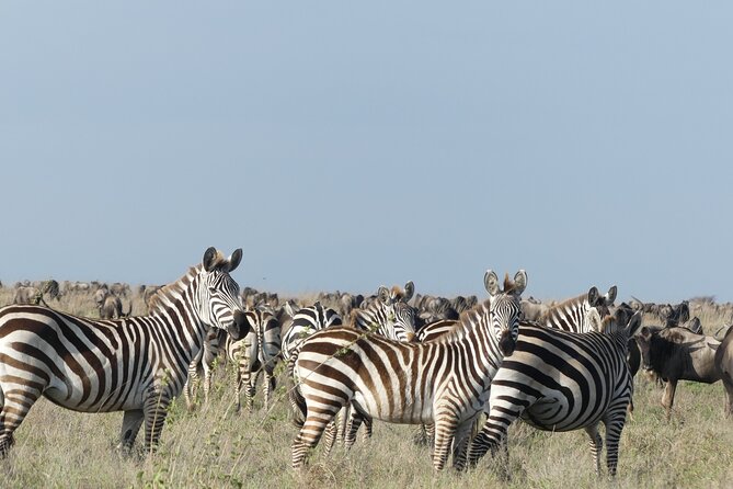 6-Day Northern Safari - Day 1: A calm start near Mount Meru