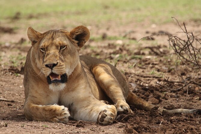 6-day Private Camping Safari Tour from Kilimanjaro Airport - Key points before you book