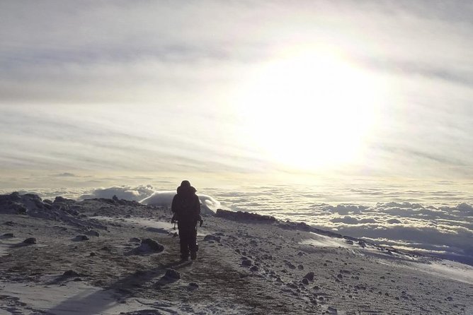 6-Day Rongai Route Trek in Mount Kilimanjaro - Day 3: Mawenzi Tarn and a useful acclimatization walk