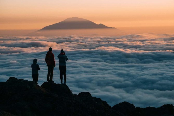 6-Day Rongai Route Trek in Mount Kilimanjaro - Day 6: Forest descent and the Marangu finish
