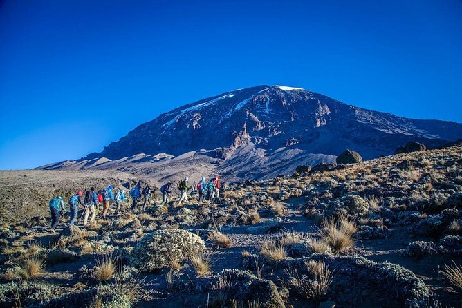 6-Day Rongai Route Trek in Mount Kilimanjaro - Day 2: Kikelelwa Caves and the first real altitude test