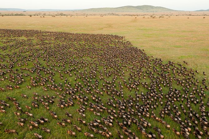 6-Day Serengeti Migration: Private Safari with Mid-range Luxury - Day 2: Across the Ngorongoro highlands to Serengeti