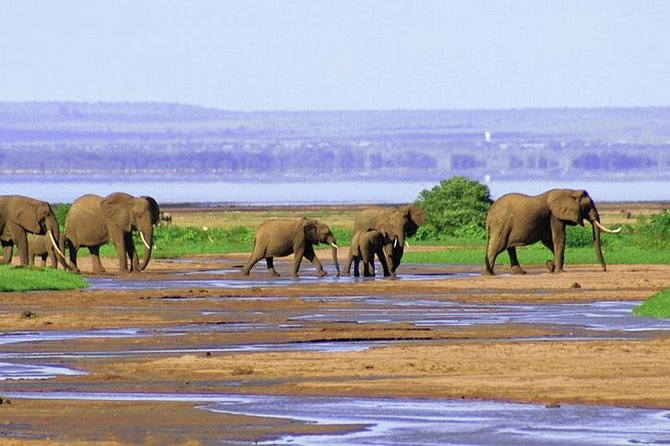6 Day Serengeti wildebeest migration Camping Safari - Camping, food, and the daily rhythm