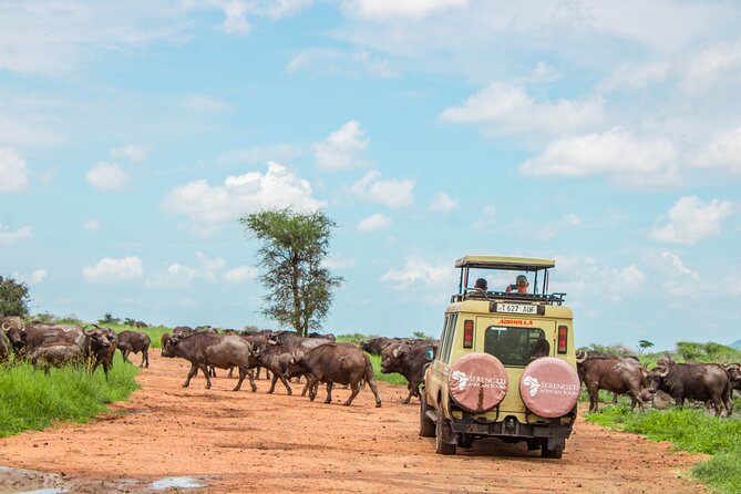 6 Day Serengeti wildebeest migration Camping Safari - Day 1: Tarangire’s river, baobabs, and elephants