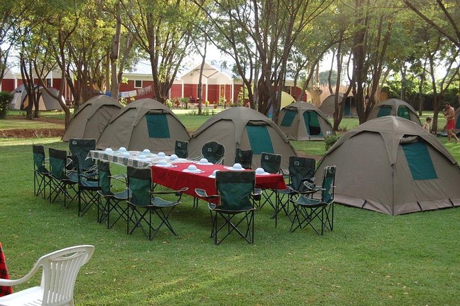 6-Day Tanzania Camping Safari: Lake Manyara, Serengeti, Ngorongoro Cater and Tarangire National Park from Arusha - Day 5: Ngorongoro Crater and the road to Lake Manyara