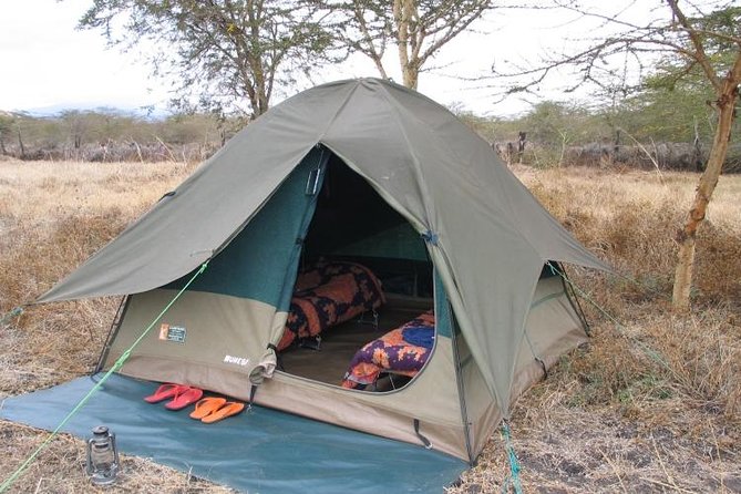 6-Day Tanzania Camping Safari: Lake Manyara, Serengeti, Ngorongoro Cater and Tarangire National Park from Arusha - Day 6: Lake Manyara before returning to Arusha