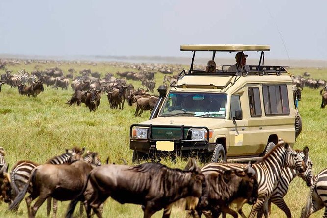 6-Day Tanzania Camping Safari: Lake Manyara, Serengeti, Ngorongoro Cater and Tarangire National Park from Arusha - Camping, meals, and what $2,675 covers