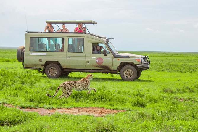 6 Day Tanzania Wildlife Mid range Safari - Day 1: Tarangire elephants and baobab country