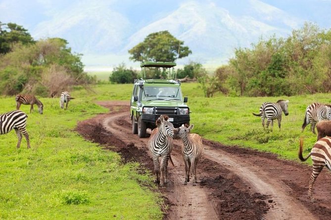 6 Day Tanzania Wildlife Mid range Safari - Day 3: Crossing into the Serengeti