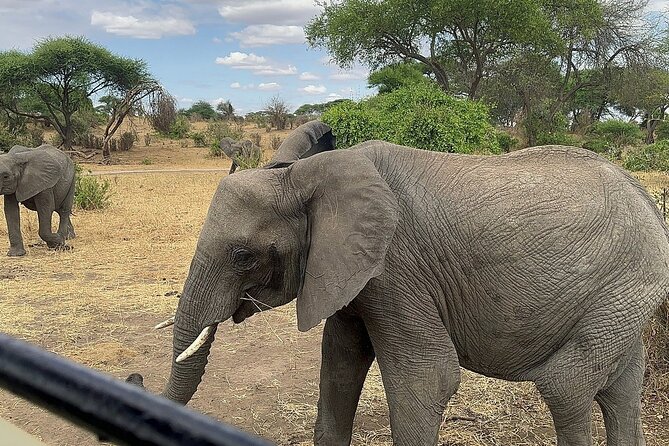 6 -Day Tarangire, Manyara, Serengeti & Ngorongoro - Day two: the long road to the Serengeti