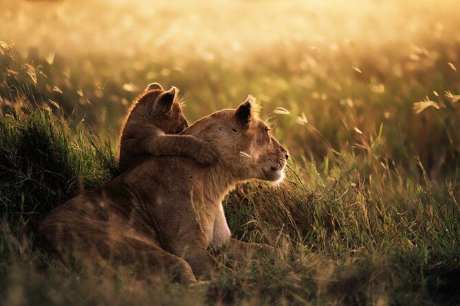 6-Day Unforgettable Tour in Tanzania - Day 5: Six hours inside Ngorongoro Crater