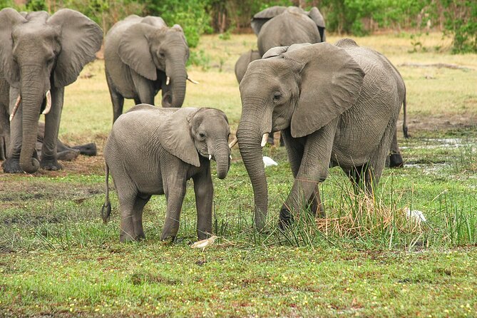 6 Days 5 Night Safari - A six-day route through Tanzania’s northern parks