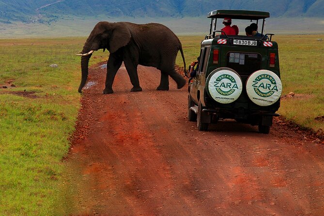 6 Days 5 Night Safari - Day 5: Ngorongoro’s Big Five potential