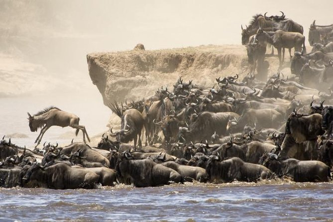6 Days 5 Nights lodge safari Tarangire, Manyara, Serengeti & Ngorongoro Crater - Day 1: Elephants and baobabs in Tarangire