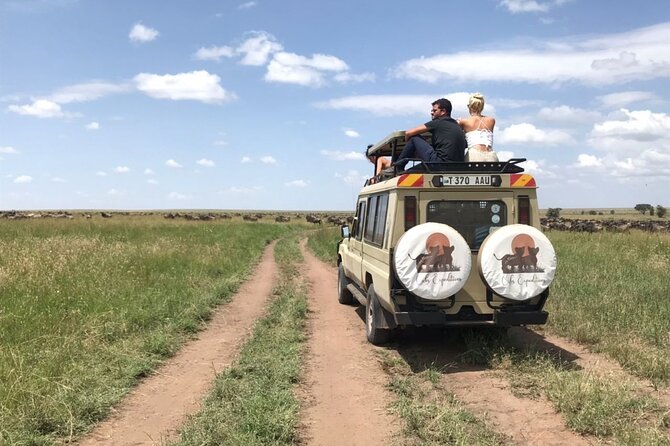 6 days 5 nights safari Ngorongoro, Serengeti and Tarangire National Parks - Day 5: One last Serengeti morning, then toward Ngorongoro