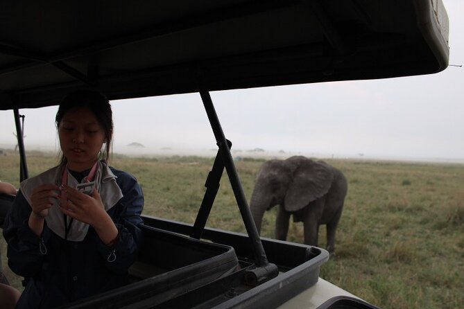 6 Days Adventure Towards Serengeti, Ngorongoro and Tarangire - Day 1: Elephants and baobabs in Tarangire