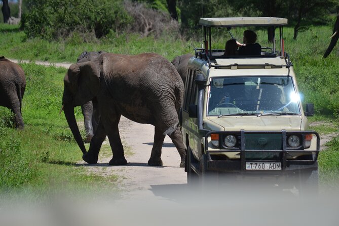 6 Days best adventure kilimanjaro ,Tarangire ,Serengeti &Ngorongoro crater - Four parks and one mountain day in six days
