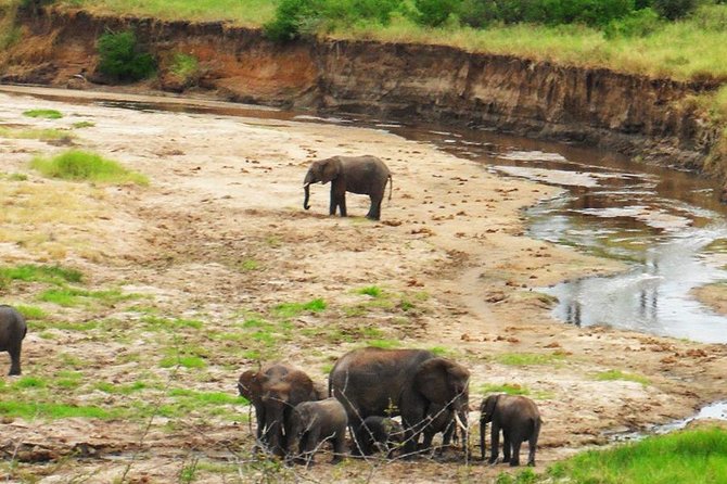 6 Days - Best of Nothern Parks Safari - Four parks in six days, with very different scenery