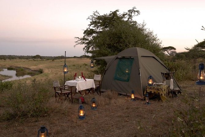 6 Days Budget Tanzania Camping Safari - Day 5: One last Serengeti drive before Ngorongoro