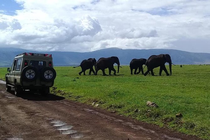 6 Days Budget Tanzania Camping Safari - Day 6: Ngorongoro Crater and the return to Arusha