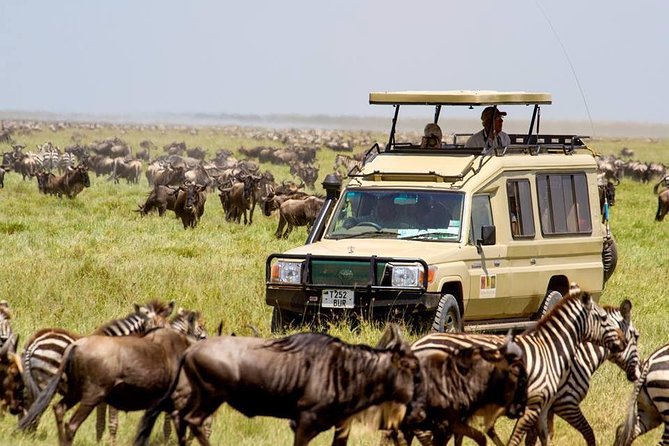 6 Days Budget Tanzania Camping Safari - Day 1: Tarangire begins the wildlife circuit