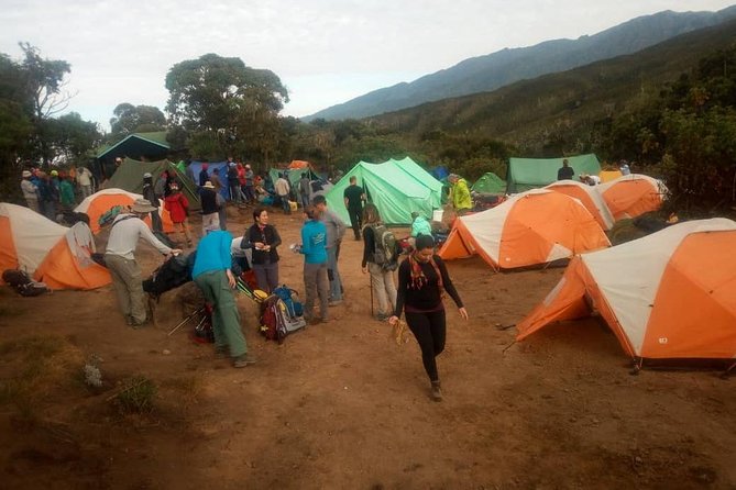 6 Days Climb Kilimanjaro Through Marangu Route - What six days on the Marangu Route feels like