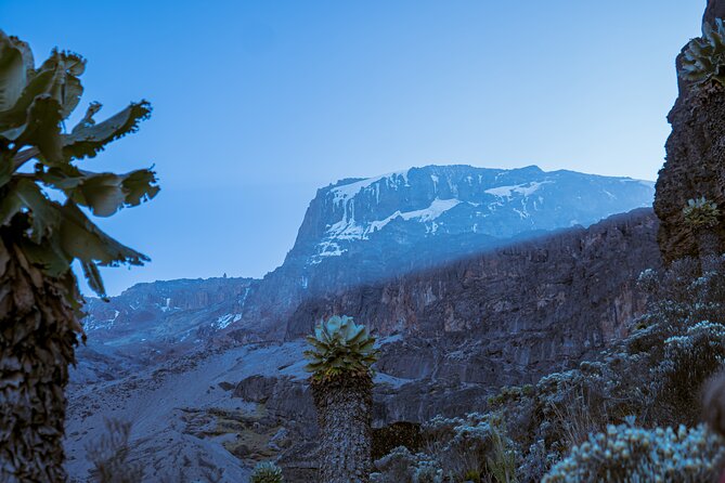 6 Days Climb Private Tour in Mount Kilimanjaro - What the $1,980 price really covers