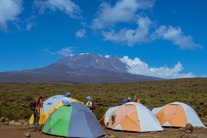 6 Days Climb Private Tour in Mount Kilimanjaro - Starting in Moshi and entering the Machame forest