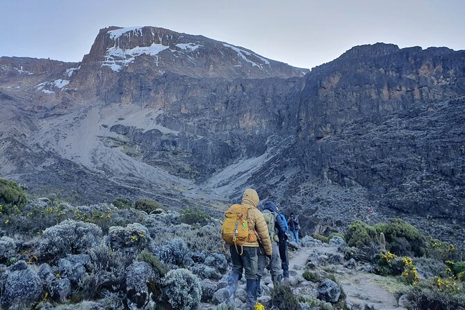 6 Days Climbing Mount Kilimanjaro Machame Route - What the six-day Machame Route feels like