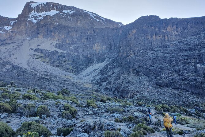 6 Days Climbing Mount Kilimanjaro Machame Route - Day 2: Moorland and the Shira plateau