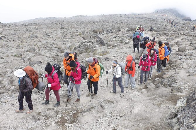 6 Days: Hiking Kilimanjaro via Machame Route - Day 3: Lava Tower, alpine desert, and Barranco Valley