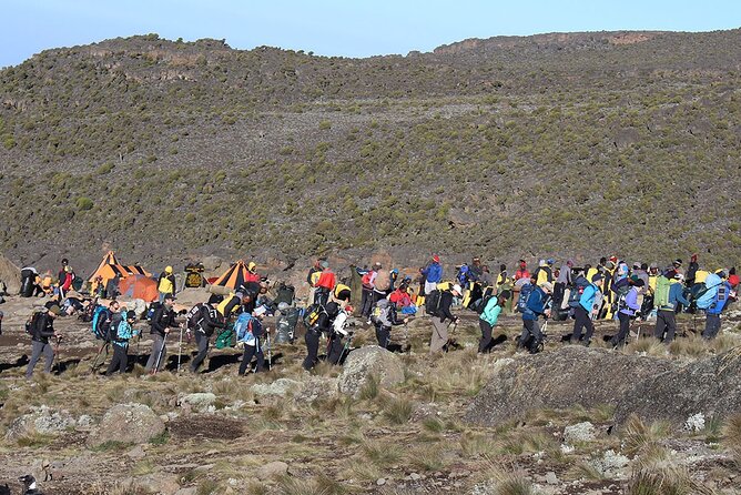 6 Days: Hiking Kilimanjaro via Machame Route - Day 5: Stella Point, Uhuru Peak, and the long descent