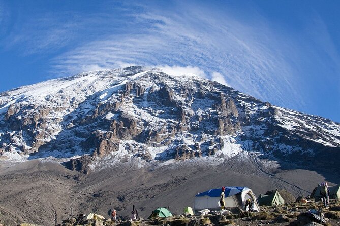 6 Days: Hiking Kilimanjaro via Machame Route - Day 6: Mweka Camp to the park gate