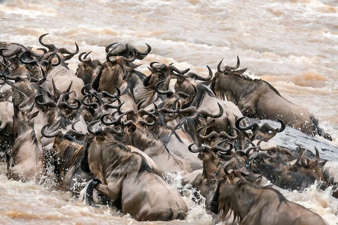 6 Days in the Wild – A Budget Safari Across Tanzania’s Icons - Day 6: Materuni Waterfalls, coffee country, and Chemka