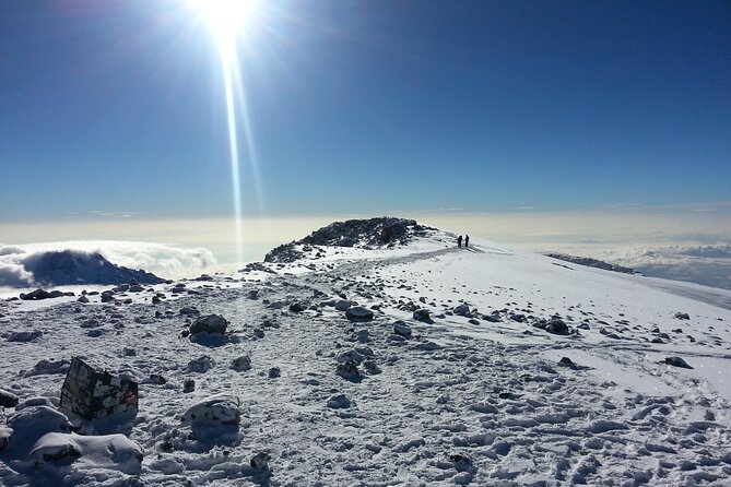6 Days Kilimanjaro climbing | Hiking Tour via the Rongai Route - Day 2: from First Cave to Kikelelwa Cave