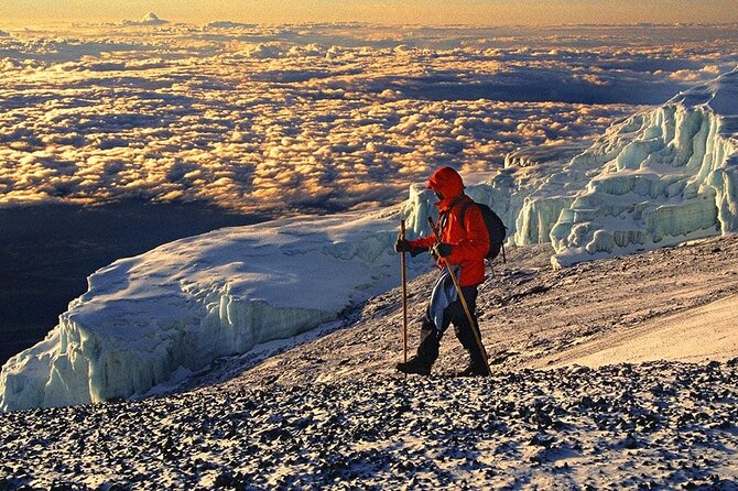 6 Days Kilimanjaro Climbing Machame route - Day six: cloud forest and the Mweka Gate finish