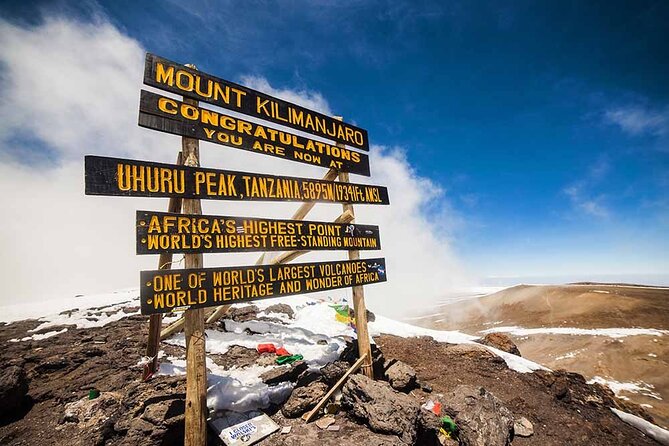 6 Days Kilimanjaro Climbing Machame route - Day one: forest, open views, and Shira Plateau