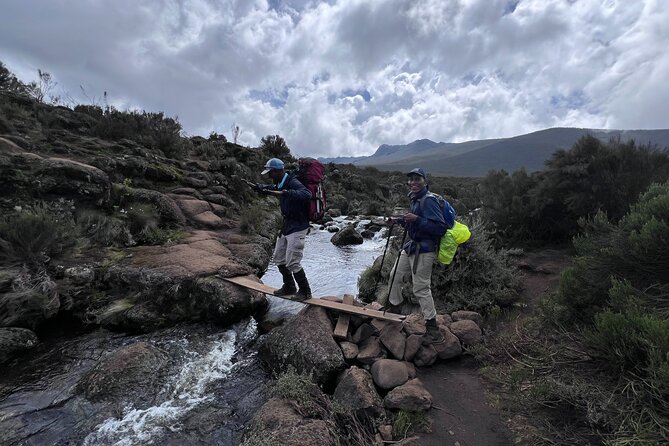 6 Days Kilimanjaro Climbing Marangu Route - From Moshi to the rainforest on day one