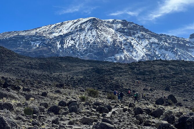 6 Days Kilimanjaro Climbing Marangu Route - Crossing the saddle to Kibo Huts